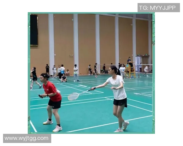 南京羽毛球队在世锦赛上的拼搏历程与荣耀时刻回顾