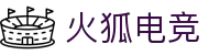 火狐电竞·(中国区)电子竞技平台